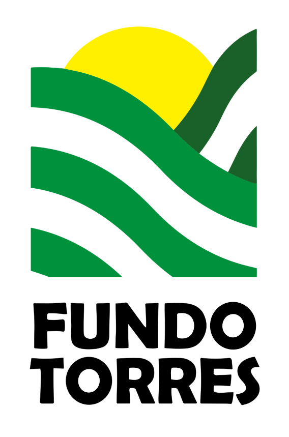 Logo Fundo Torres